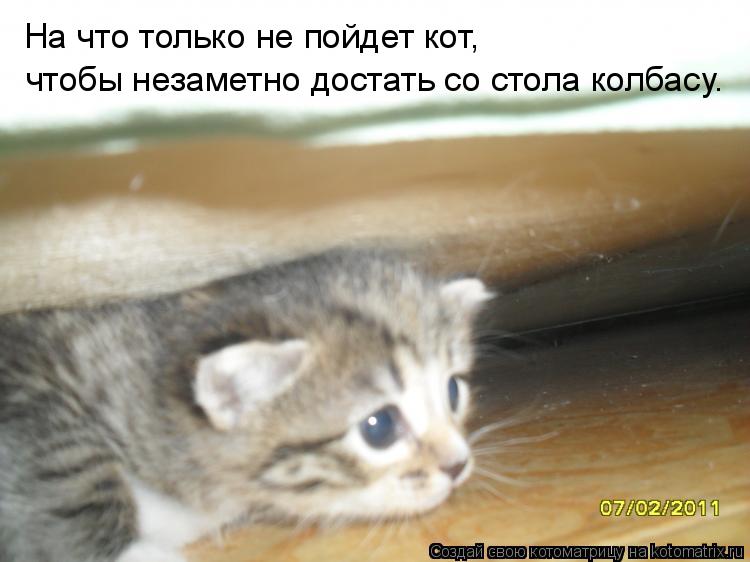 Котоматрица: На что только не пойдет кот, чтобы незаметно достать со стола колбасу.