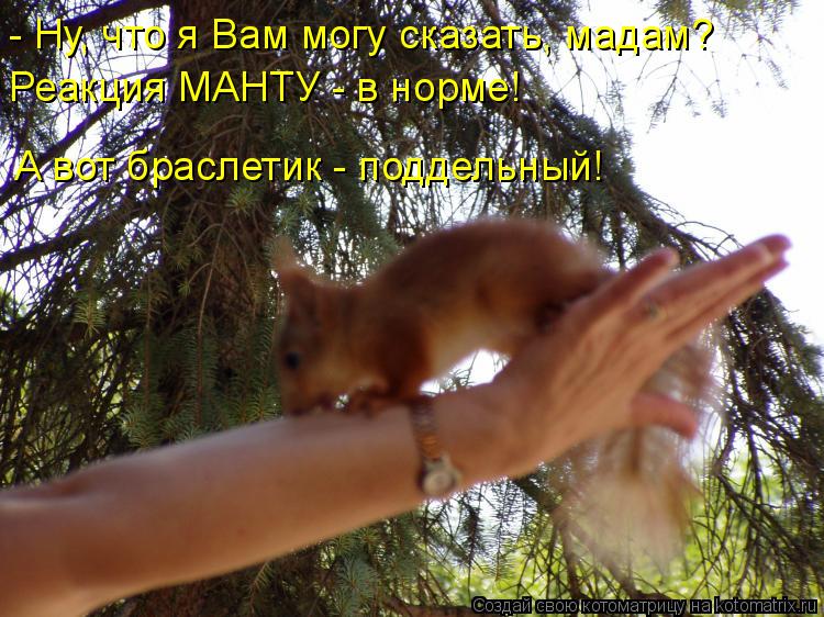 Котоматрица: - Ну, что я Вам могу сказать, мадам? Реакция МАНТУ - в норме! А вот браслетик - поддельный!