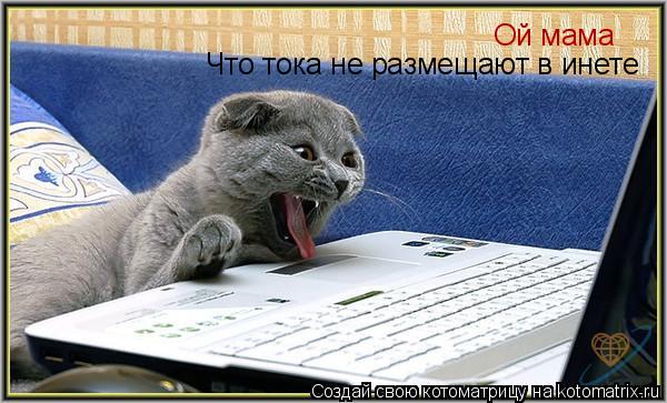 Котоматрица: Ой мама Что тока не размещают в инете