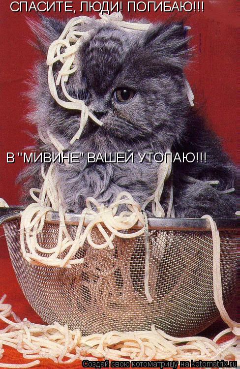 Котоматрица: СПАСИТЕ, ЛЮДИ! ПОГИБАЮ!!! В "МИВИНЕ" ВАШЕЙ УТОПАЮ!!!
