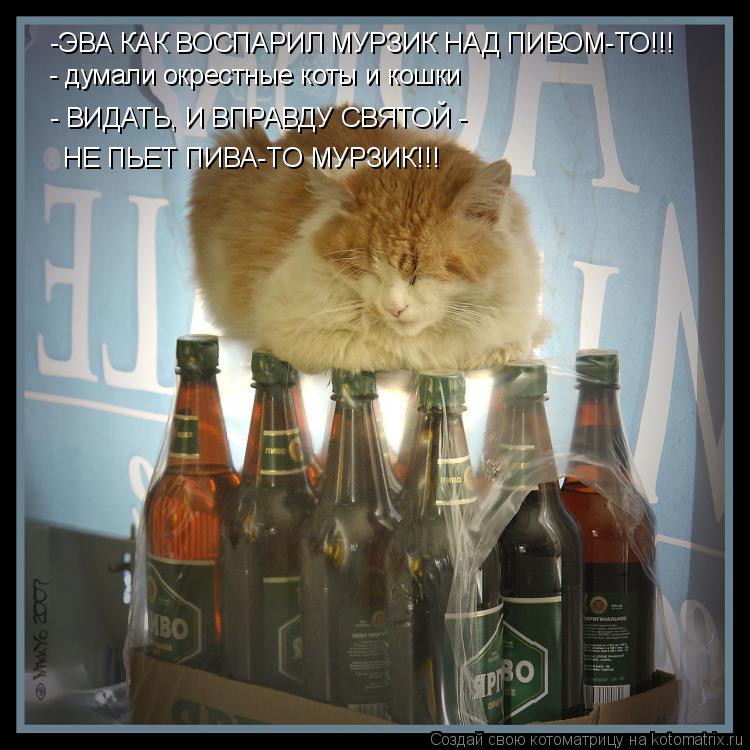 Котоматрица: -ЭВА КАК ВОСПАРИЛ МУРЗИК НАД ПИВОМ-ТО!!! - думали окрестные коты и кошки - ВИДАТЬ, И ВПРАВДУ СВЯТОЙ - НЕ ПЬЕТ ПИВА-ТО МУРЗИК!!!