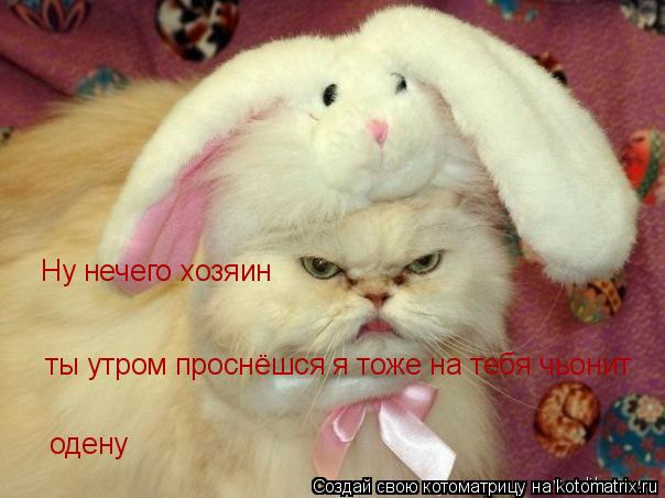 Котоматрица: Ну нечего хозяин ты утром проснёшся я тоже на тебя чьонит одену