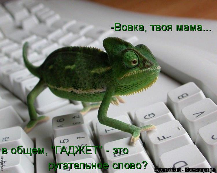 Котоматрица: -Вовка, твоя мама...  в общем, "ГАДЖЕТ" - это ругательное слово?