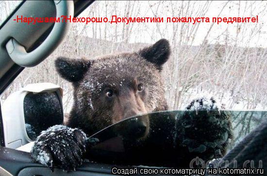 Котоматрица: -Нарушаем?Нехорошо.Документики пожалуста предявите!