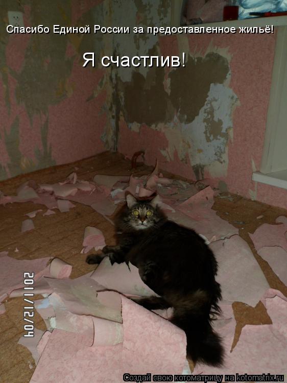 Котоматрица: Спасибо Единой России за предоставленное жильё! Я счастлив!