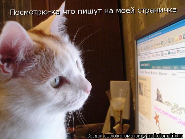 Котоматрица: Посмотрю-ка что пишут на моей страничке