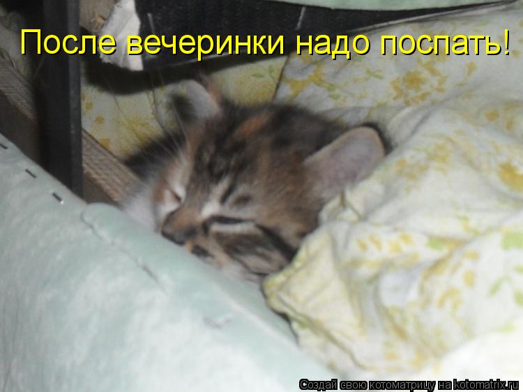После вечеринки надо поспать!... Котоматрица: После вечеринки надо поспать!