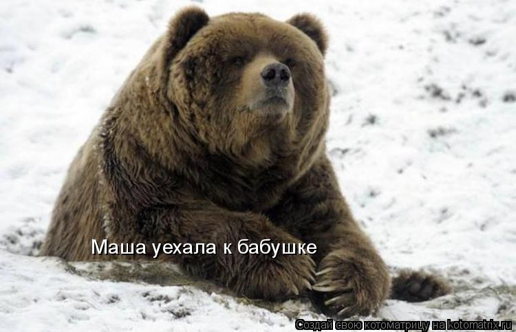 Маша уехала к бабушке... Котоматрица: Маша уехала к бабушке