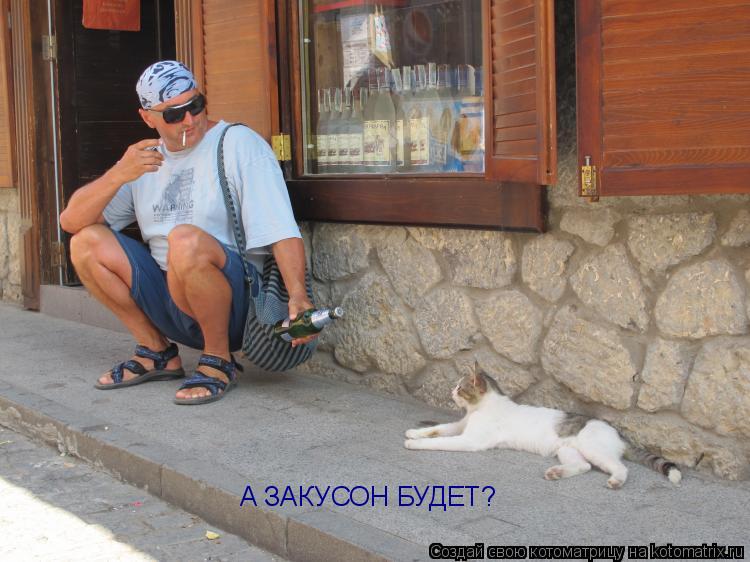 А ЗАКУСОН БУДЕТ?... Котоматрица: А ЗАКУСОН БУДЕТ?