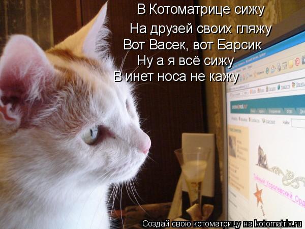 В Котоматрице сижу На друзей своих гляжу Вот Васек, вот Барсик Ну а я всё сижу В инет носа не кажу... Котоматрица: В Котоматрице сижу На друзей своих гляжу Вот Васек, вот Барсик Ну а я всё сижу В инет носа не кажу