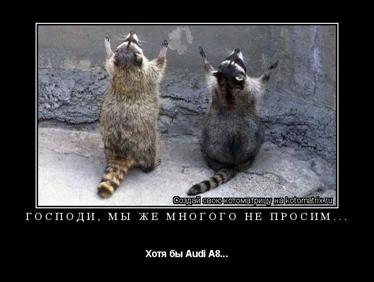 Господи, мы же многого не просим... Хотя бы Audi A8...... Котоматрица: Господи, мы же многого не просим... Хотя бы Audi A8...