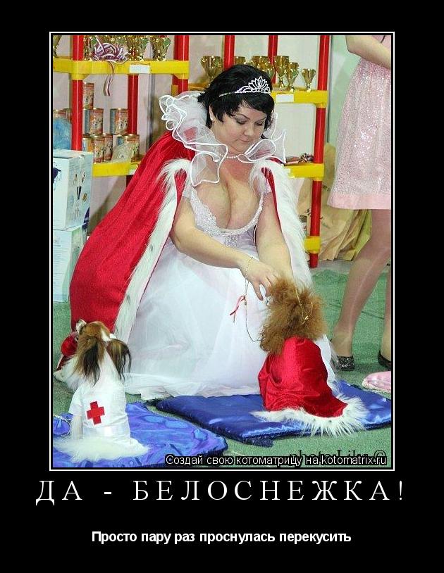 Котоматрица: Да - Белоснежка! Просто пару раз проснулась перекусить