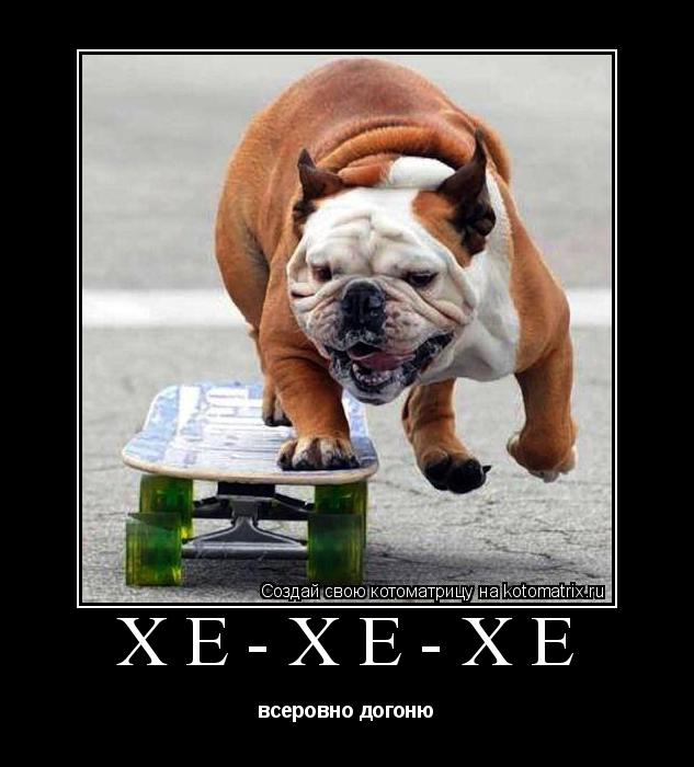 Котоматрица: хе-хе-хе всеровно догоню