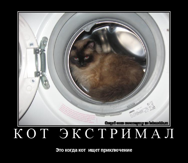 Котоматрица: КОТ ЭКСТРИМАЛ Это когда кот  ищет приключение