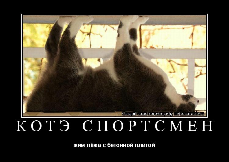 Котоматрица: КотЭ спортсмен жим лёжа с бетонной плитой