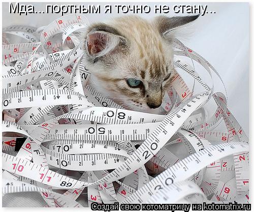 Мда...портным я точно не стану...... Котоматрица: Мда...портным я точно не стану...