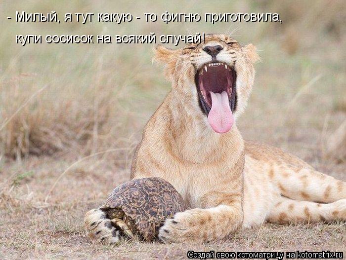купи сосисок на всякий случай! - Милый, я тут какую - то фигню приготовила,... Котоматрица: купи сосисок на всякий случай! - Милый, я тут какую - то фигню приготовила,