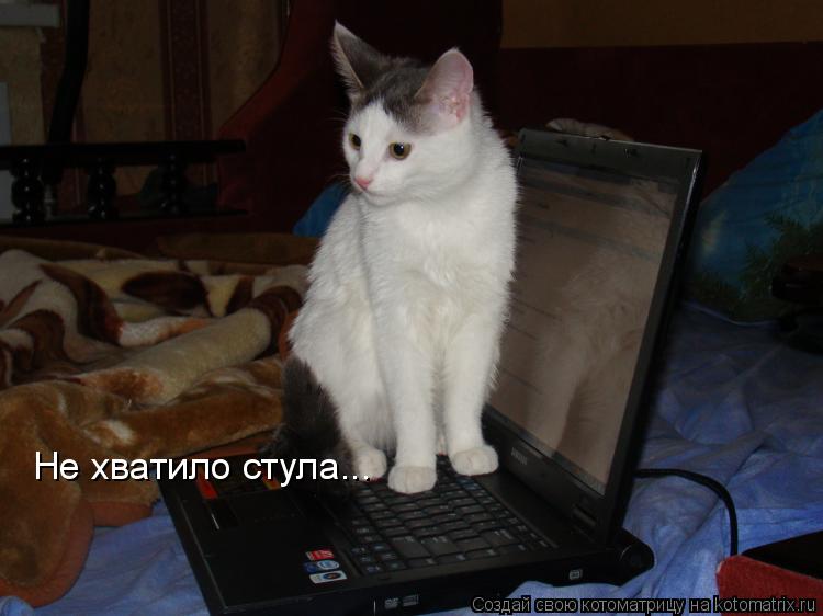 Не хватило стула...... Котоматрица: Не хватило стула...