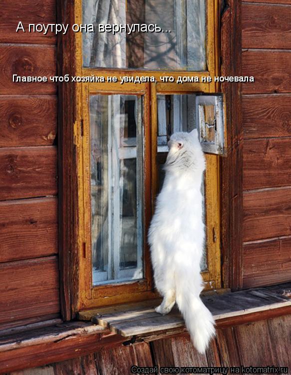 А поутру она вернулась... Главное чтоб хозяйка не увидела, что дома не ночевала... Котоматрица: А поутру она вернулась... Главное чтоб хозяйка не увидела, что дома не ночевала