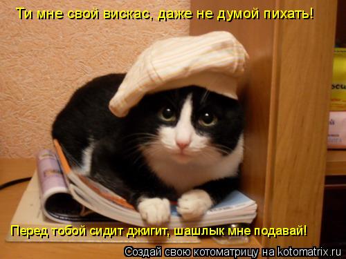 Ти мне свой вискас, даже не думой пихать! Перед тобой сидит джигит, шашлык мне подавай!... Котоматрица: Ти мне свой вискас, даже не думой пихать! Перед тобой сидит джигит, шашлык мне подавай!