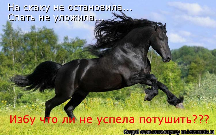 На скаку не остановила... Спать не уложила... Избу что ли не успела потушить???... Котоматрица: На скаку не остановила... Спать не уложила... Избу что ли не успела потушить???