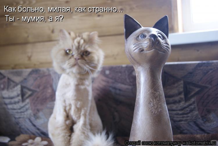 Как больно, милая, как странно... Ты - мумия, а я?... Котоматрица: Как больно, милая, как странно... Ты - мумия, а я?