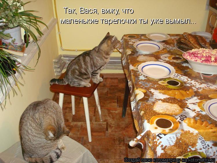 Так, Вася, вижу, что маленькие тарелочки ты уже вымыл...... Котоматрица: Так, Вася, вижу, что маленькие тарелочки ты уже вымыл...