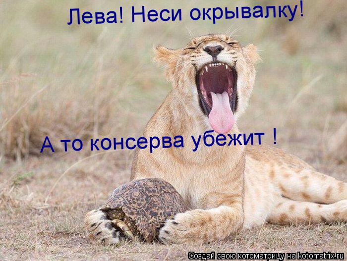 Лева! Неси окрывалку! А то консерва убежит !... Котоматрица: Лева! Неси окрывалку! А то консерва убежит !