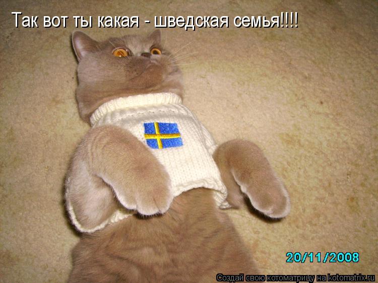 Так вот ты какая - шведская семья!!!!... Котоматрица: Так вот ты какая - шведская семья!!!!