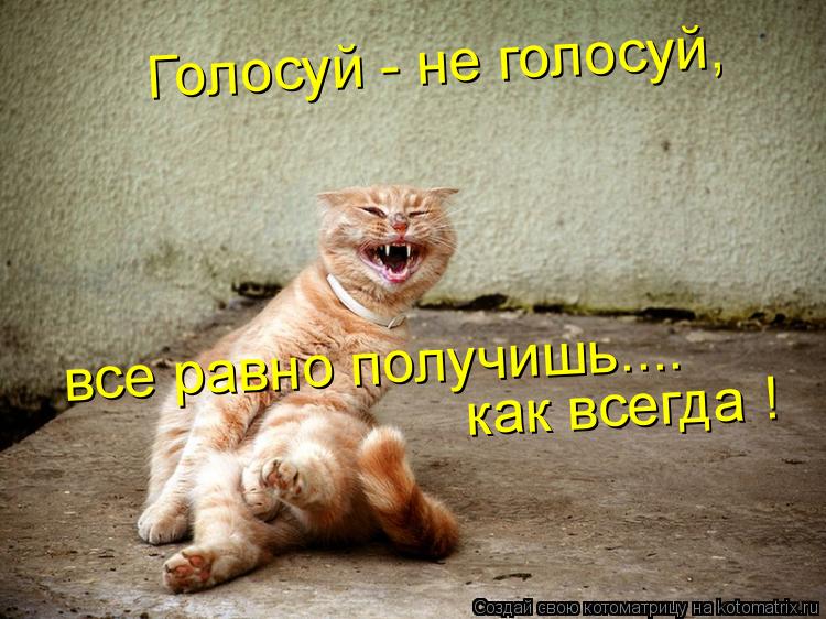 все равно получишь.... как всегда ! Голосуй - не голосуй,... Котоматрица: все равно получишь.... как всегда ! Голосуй - не голосуй,