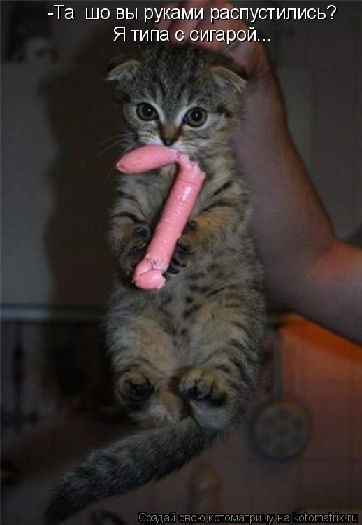 -Та шо вы руками распустились? Я типа с сигарой...... Котоматрица: -Та шо вы руками распустились? Я типа с сигарой...