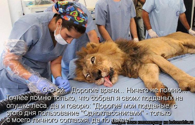 -- О-о-ой... Дорогие врачи... Ничего не помню... Точнее помню только, что собрал я своих подданых на ... Котоматрица: -- О-о-ой... Дорогие врачи... Ничего не помню... Точнее помню только, что собрал я своих подданых на опушке леса, да и говорю: "Дорогие мои подданы