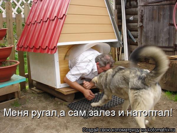 Меня ругал,а сам залез и натоптал!... Котоматрица: Меня ругал,а сам залез и натоптал!