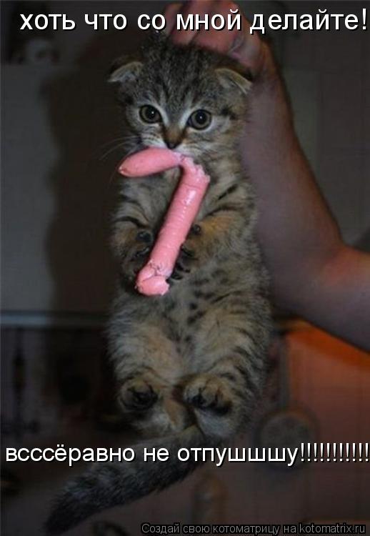 Котоматрица: хоть что со мной делайте!!!!! всссёравно не отпушшшу!!!!!!!!!!!