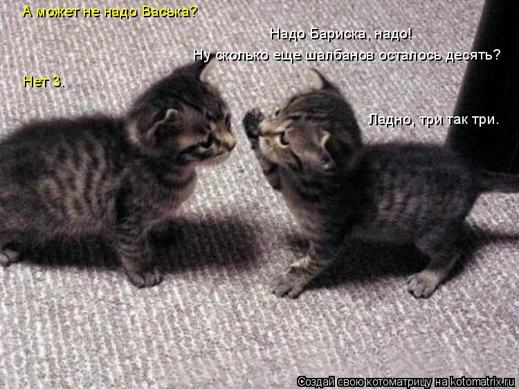 Котоматрица: А может не надо Васька? Надо Бариска, надо! Ну сколько еще шалбанов осталось десять? Нет 3. Ладно, три так три.