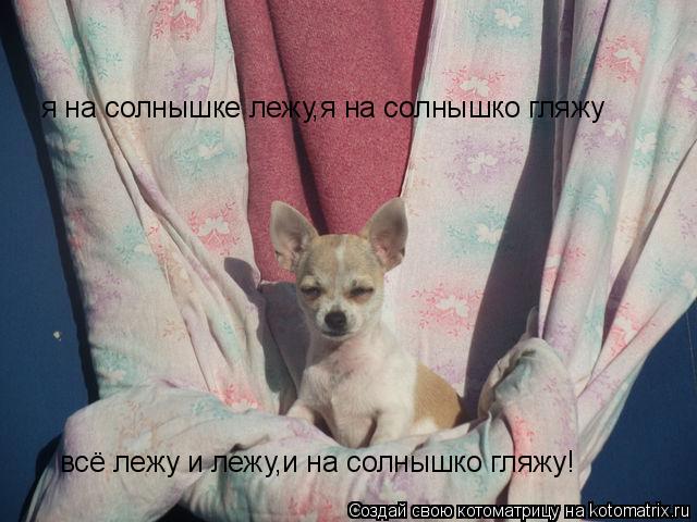 Котоматрица: я на солнышке лежу,я на солнышко гляжу всё лежу и лежу,и на солнышко гляжу!