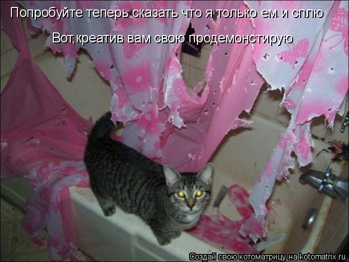 Котоматрица: Попробуйте теперь сказать что я только ем и сплю Вот,креатив вам свою продемонстирую