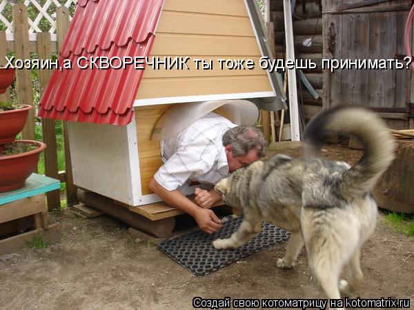 Котоматрица: Хозяин,а СКВОРЕЧНИК ты тоже будешь принимать?