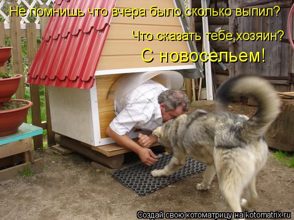Котоматрица: С новосельем! Что сказать тебе,хозяин? Не помнишь что вчера было,сколько выпил?