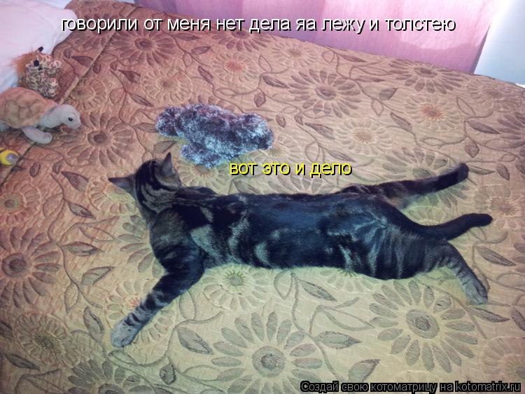 Котоматрица: говорили от меня нет дела яа лежу и толстею вот это и дело