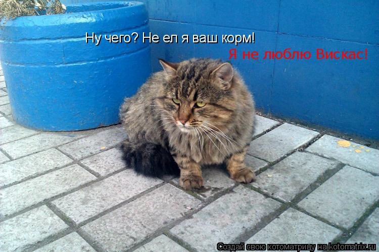 Котоматрица: Ну чего? Не ел я ваш корм! Я не люблю Вискас!