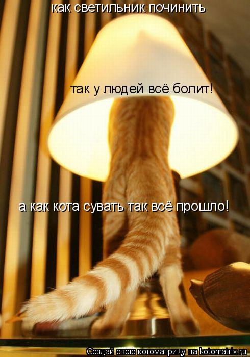 Котоматрица: как светильник починить так у людей всё болит! а как кота сувать так всё прошло!