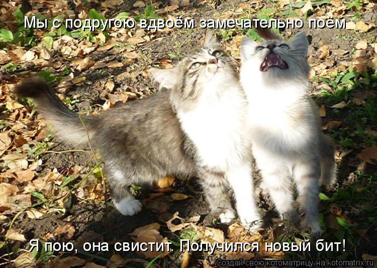 Котоматрица: Мы с подругою вдвоём замечательно поём Я пою, она свистит. Получился новый бит!
