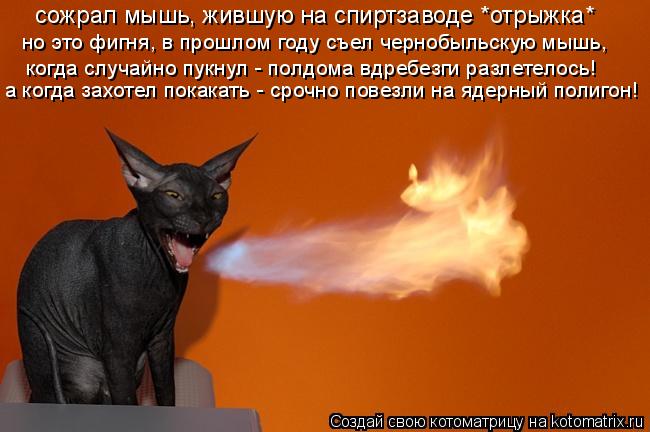 Котоматрица: сожрал мышь, жившую на спиртзаводе *отрыжка* но это фигня, в прошлом году съел чернобыльскую мышь, когда случайно пукнул - полдома вдребезги 