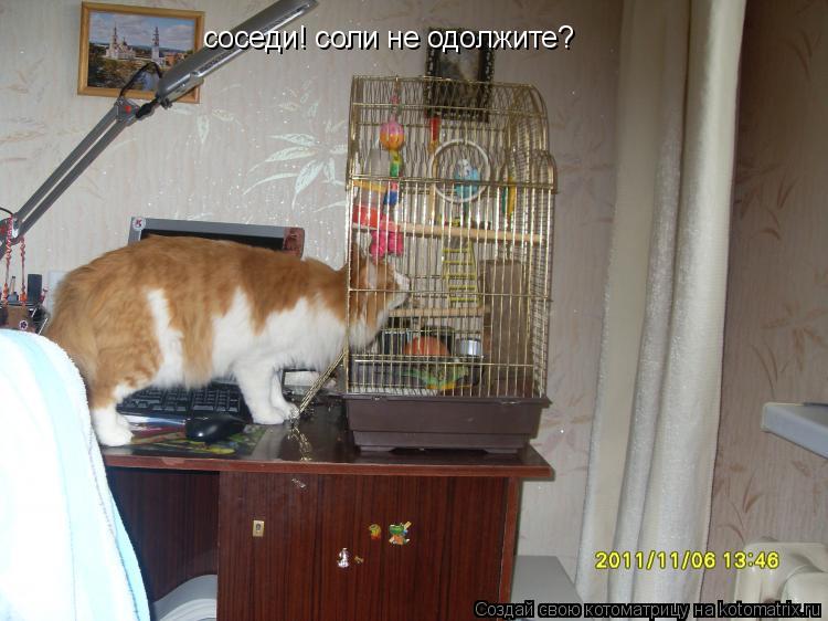 Котоматрица: соседи! соли не одолжите?