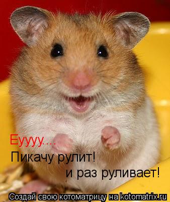 Котоматрица: Еуууу.... Пикачу рулит!  и раз руливает!