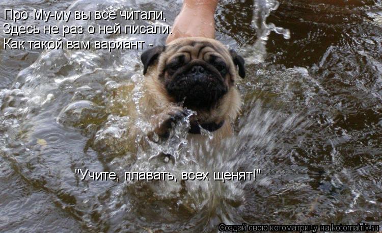 Котоматрица: Про Му-му вы все читали, Здесь не раз о ней писали. Как такой вам вариант - "Учите, плавать, всех щенят!"