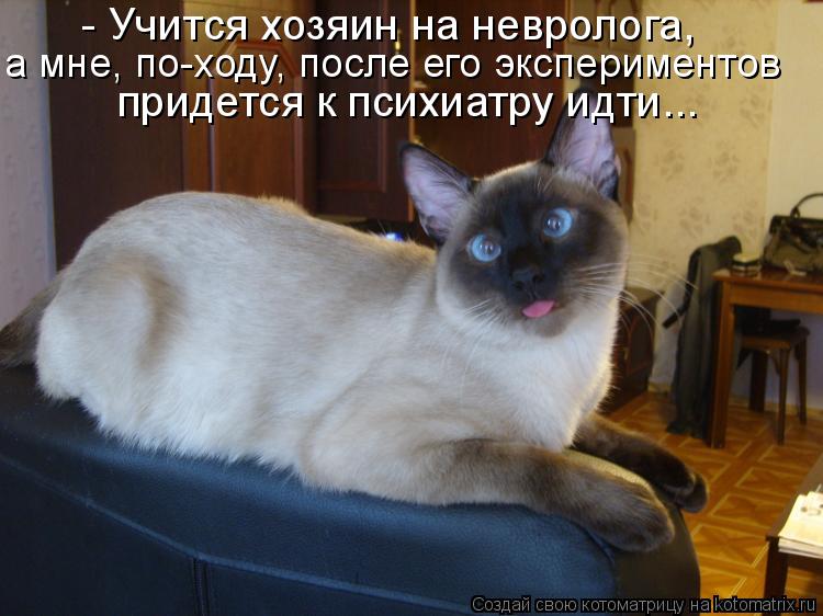 - Учится хозяин на невролога, а мне, по-ходу, после его экспериментов придется к психиатру идти...... Котоматрица: - Учится хозяин на невролога, а мне, по-ходу, после его экспериментов придется к психиатру идти...