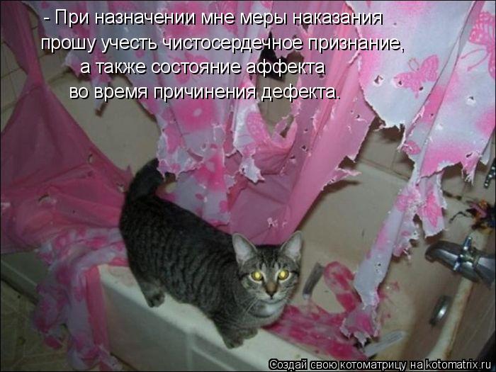 прошу учесть чистосердечное признание, - При назначении мне меры наказания а также состояние аффекта... Котоматрица: прошу учесть чистосердечное признание, - При назначении мне меры наказания а также состояние аффекта во время причинения дефекта.