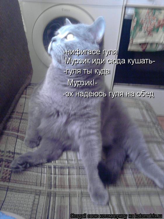 Котоматрица: -нифигасе гуля Мурзик иди сюда кушать- -гуля ты куда Мурзик!- -эх надеюсь гуля на обед